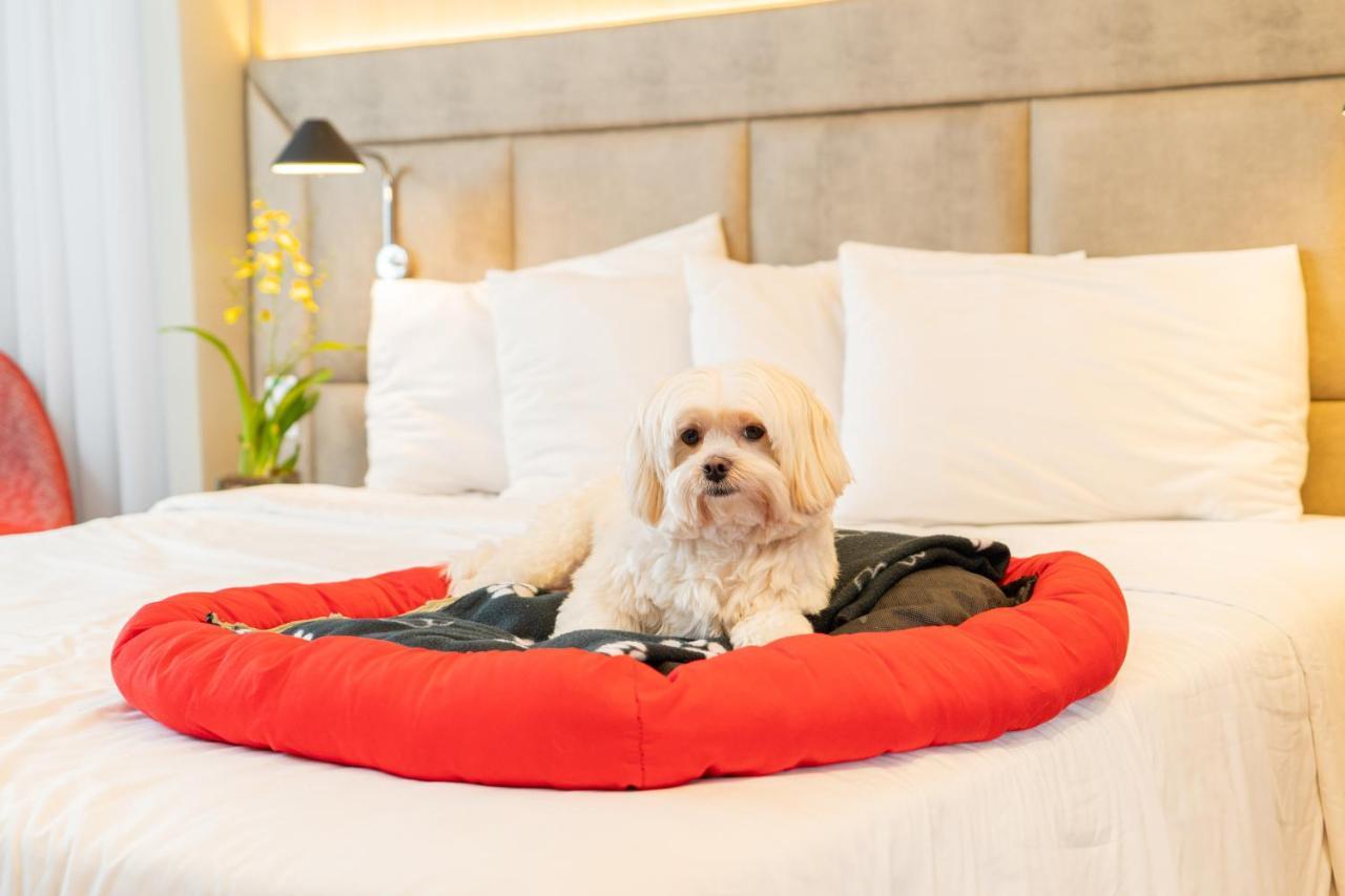 Mercure Sao Paulo Jardins Экстерьер фото